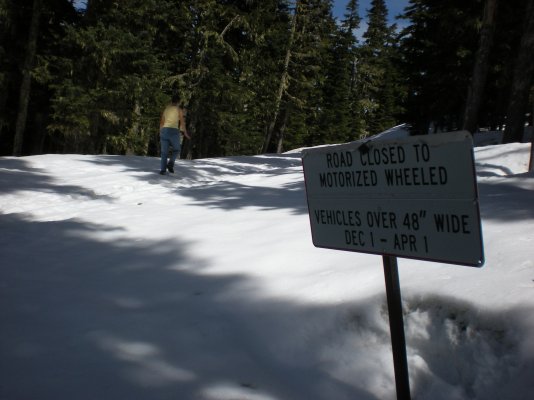 Oregon - Trail by Mt Hood 2.jpg