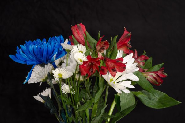 Memorial_Day_flowers.jpg