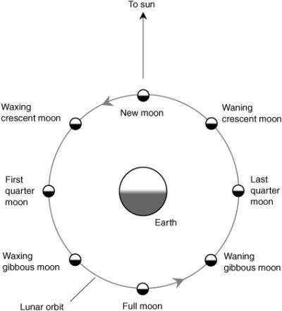 f0091-01 moon-cycle.jpg