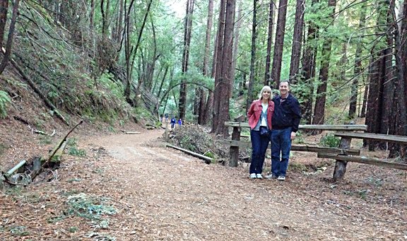 Redwood 4.jpg