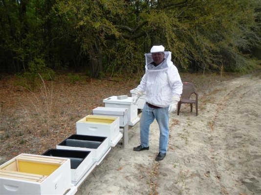 Bee stuff Wrightsboro 4-18-2014 (5).JPG