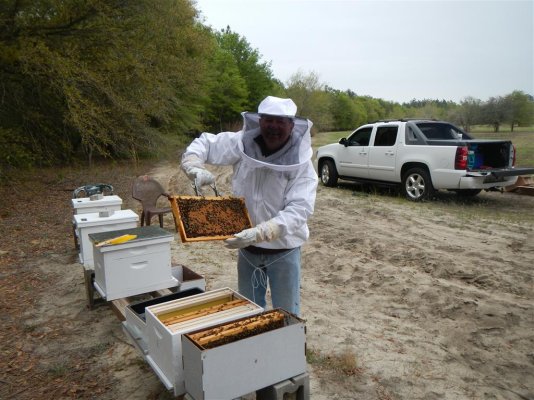 Bee stuff Wrightsboro 4-18-2014 (9).JPG