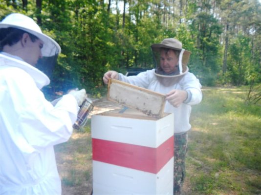 Honey Flemings bees 5-20-2014 (5).JPG