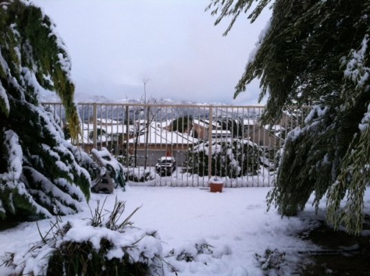 Back yard snow.jpg