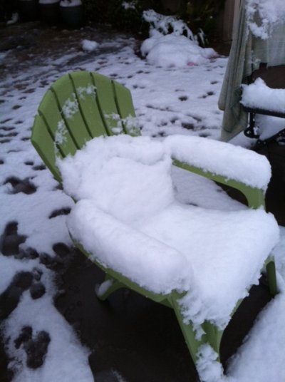 Snow Adirondack.jpg