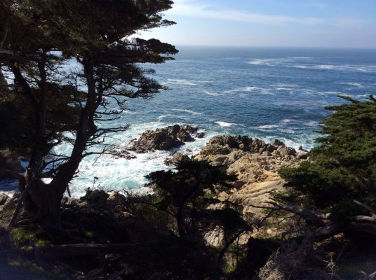 IPad Monterey Bay trip 231.jpg