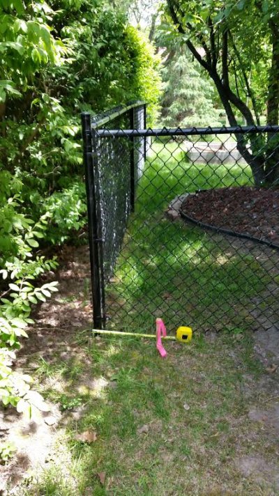 boundary stake, fence and tape from distance.jpg