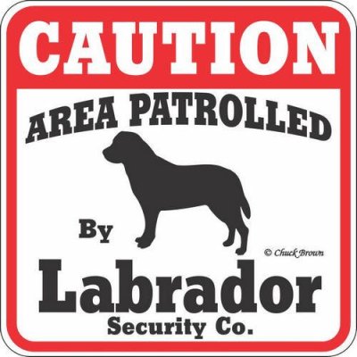 labdogsecurity.jpg