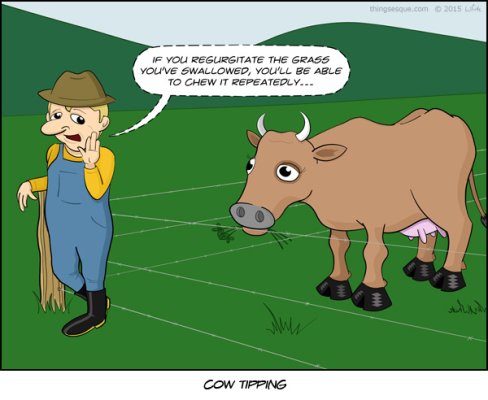 cow-tipping.jpg