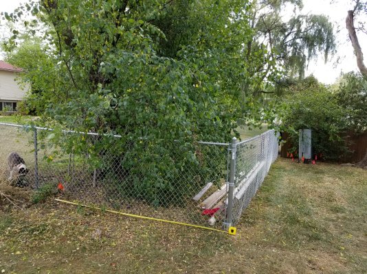 Back fence - 114 inches on my property.jpg