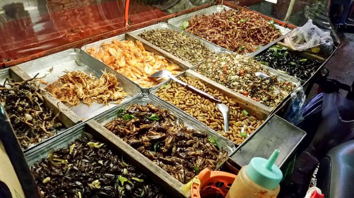 thai-1_insect_food.jpg