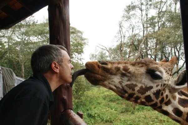 giraffe kiss.jpg