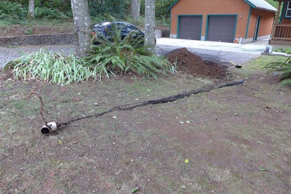 2020-09-21 144600 - Repairing driveway drain clogged with tree root.jpg