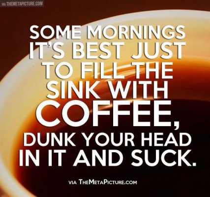 225085-Some-Morning-You-Just-Need-To-Fill-The-Sink-With-Coffee-Dunk-Your-Head-In-And-Suck.jpg