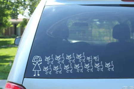 stick-family-crazy-cat-lady.png