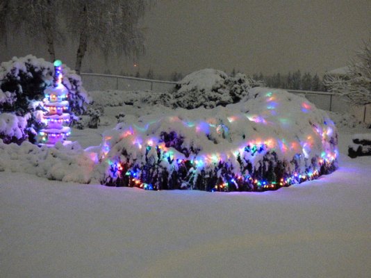 christmas_lights_in_snow.JPG