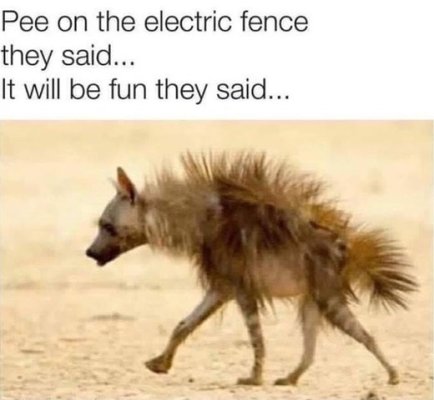 electric_fence.jpg