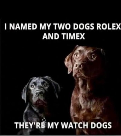 watch_dogs.jpeg