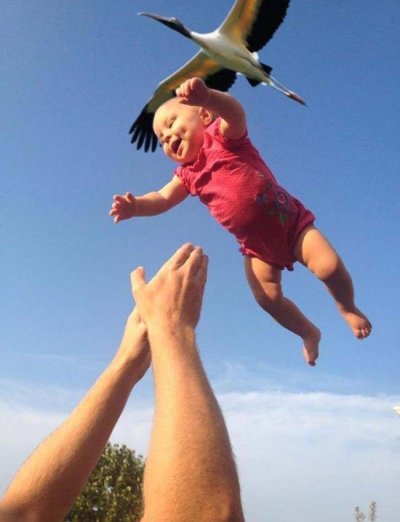 Babies Proof where they really come from.jpg