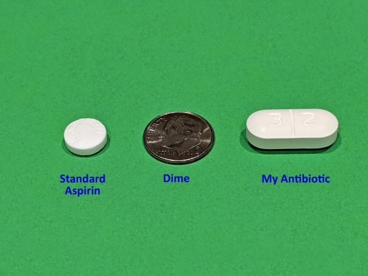 Antibiotic-Pill-Size.jpg