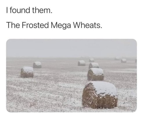 Frosted_mega_wheats.jpg