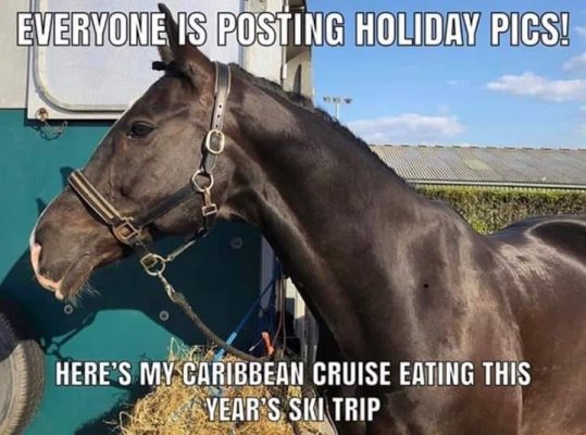horse eating my vacation.jpg