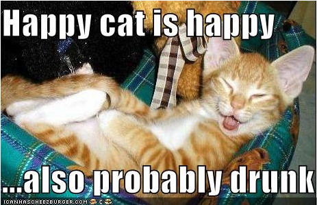 Happy Cat.png