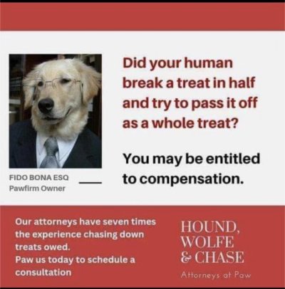 Dog Law.jpeg