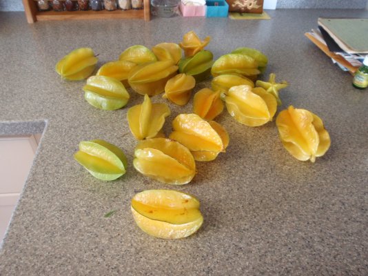 Starfruit harvest.JPG