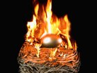 nest_egg_fire_140.jpg