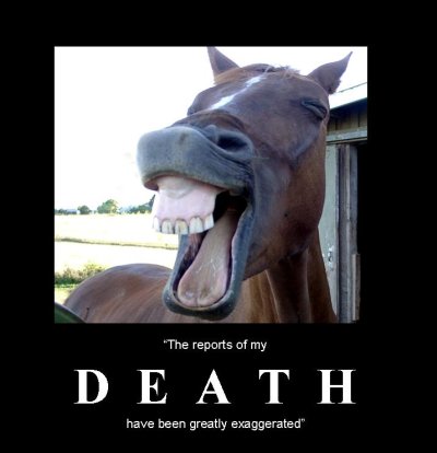 deadhorse.jpg