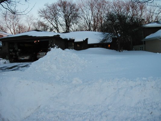 Jan 2011 Snow 008.jpg