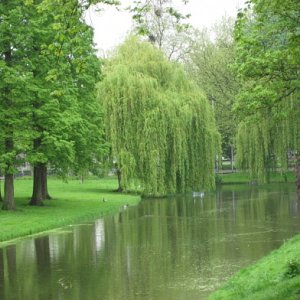 Beautiful canal in Rotterdam, Holland  4-28-09