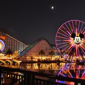 Disneyland's California Adventure in August