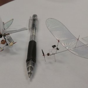 Micro RC UAVs