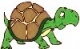 Tortoise's Avatar