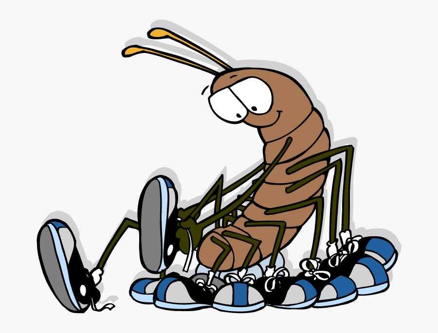 102-1027429_cartoon-centipede-wearing-shoes-clipart-png-download-centipede.png