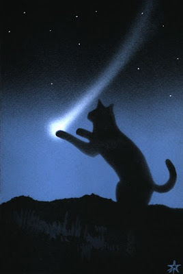 470+cat+comet+web.jpg