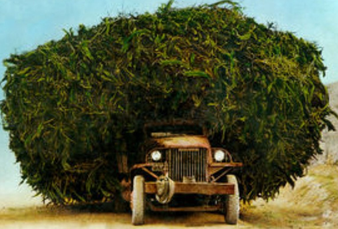 54675d1261049684-legalization-marijuana-california-up-voters-decide-pot-truck.jpg