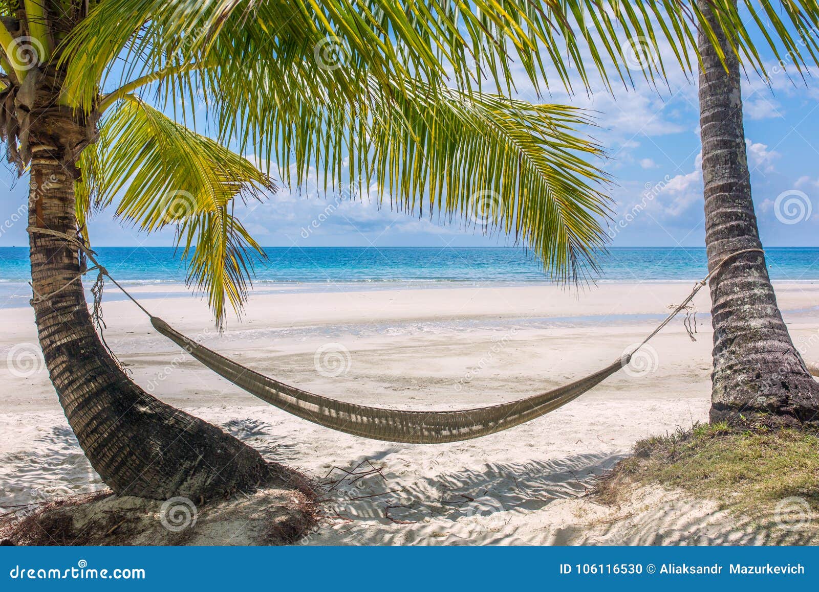empty-hammock-palm-trees-tropical-beach-empty-hammock-palm-trees-tropical-beach-thailand-106116530.jpg