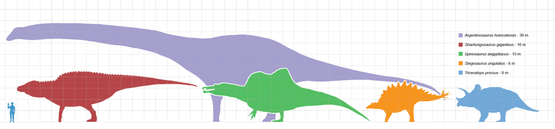 1920px-Largestdinosaursbysuborder_scale.png