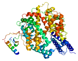 250px-Protein_ACE2_PDB_1r42.png